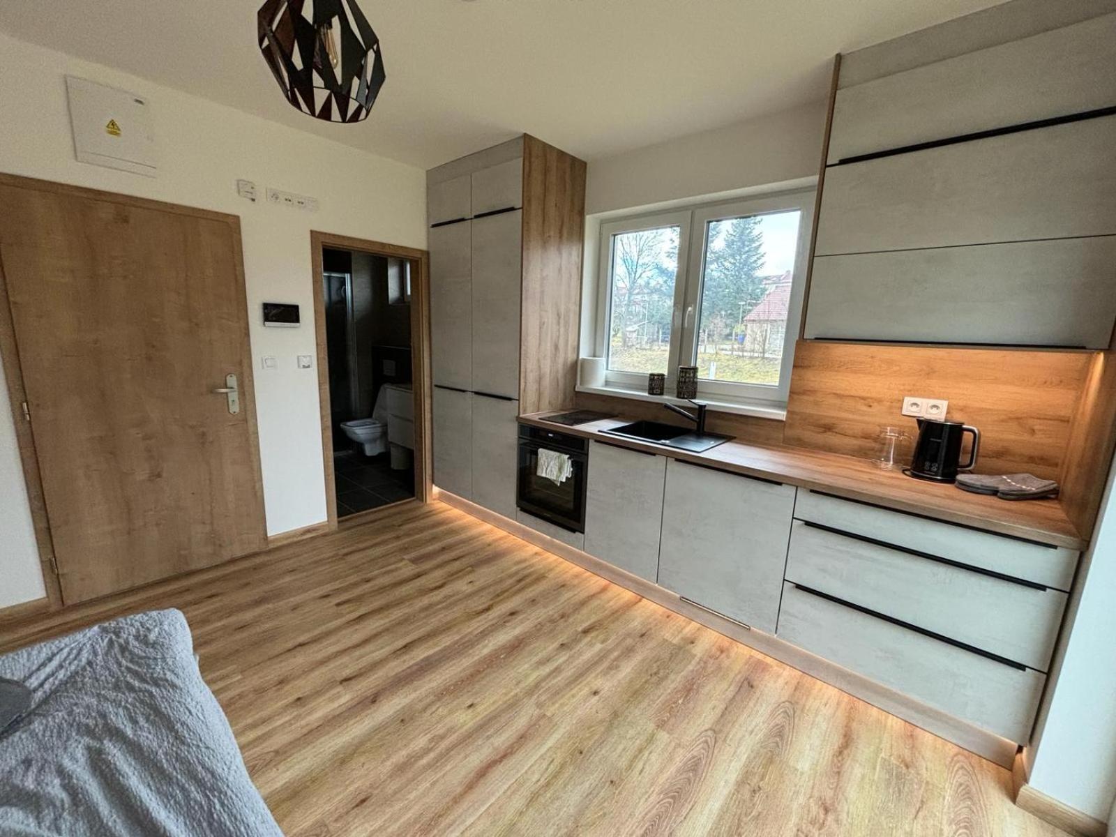 Apartmany U Plaze Lipna - Male Lipno Черна-в-Пошумаві Екстер'єр фото
